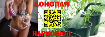 гашик Славянск-на-Кубани