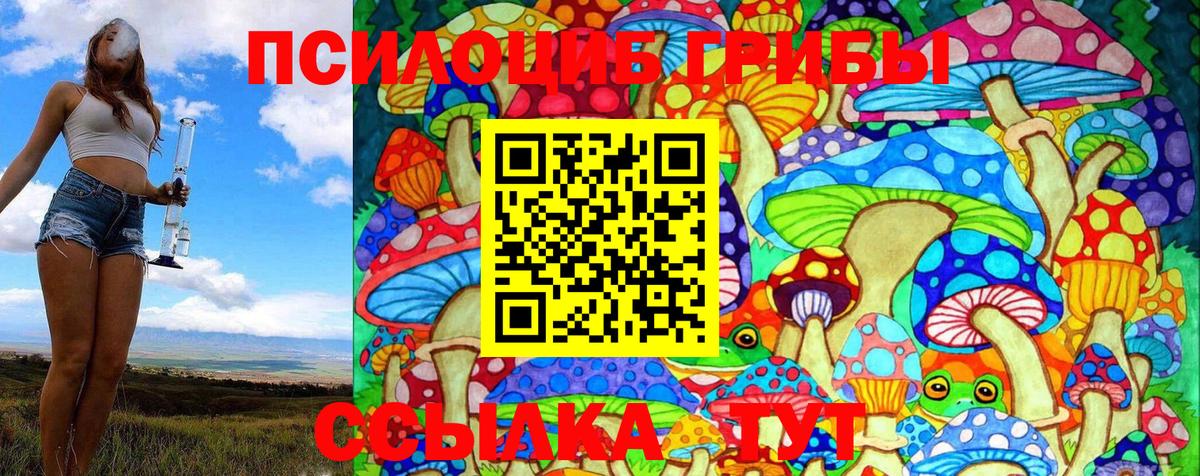 Галлюциногенные грибы MAGIC MUSHROOMS Ахтубинск