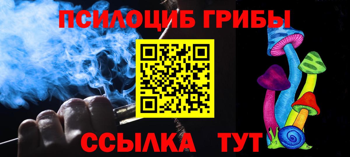 Ахтубинск  Псилоцибиновые грибы Cubensis  Вход с VPN 